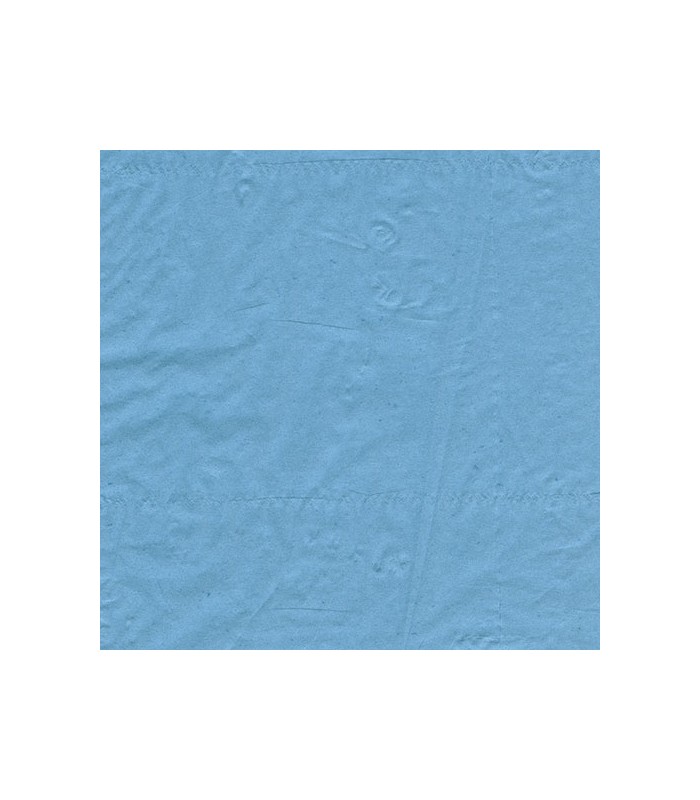 Draps d'examen plastifiés bleu 50x38cm - Drexco Médical